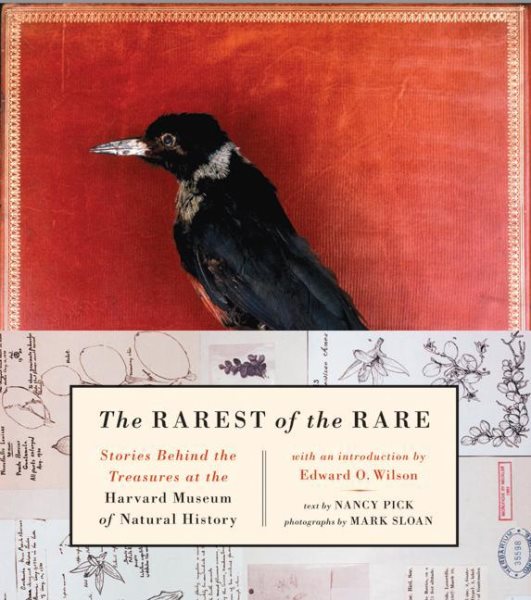 The Rarest of the Rare: Stories Behind the Treasures at the Harvard Museum of Natural History cover