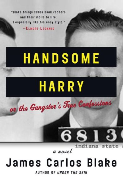 Handsome Harry: A Novel cover