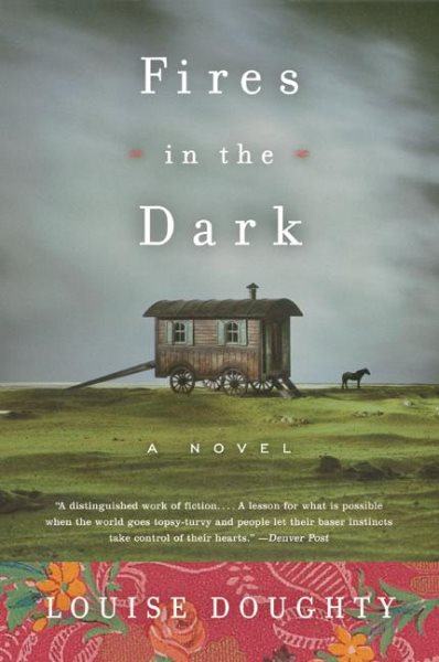 Fires in the Dark: A Novel cover