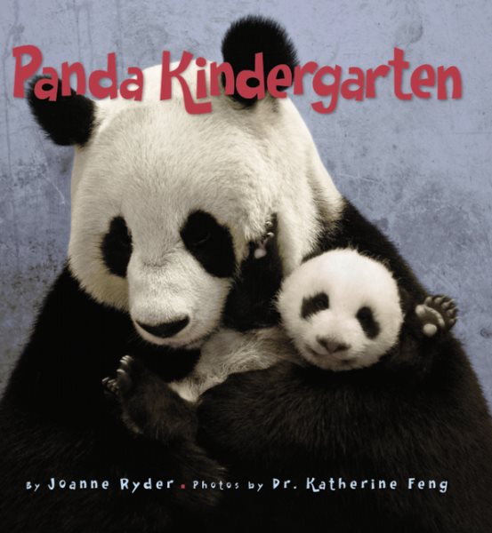 Panda Kindergarten cover