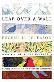 Leap Over a Wall : Earthy Spirituality for Everyday Christians cover