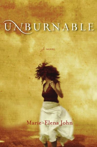 Unburnable: A Novel cover