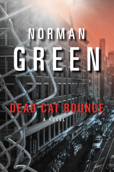 Dead Cat Bounce: A Novel cover