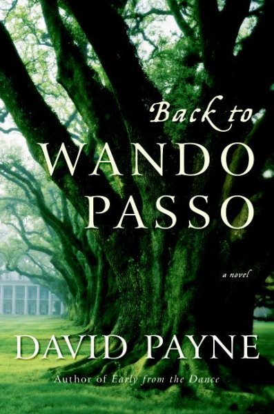 Back to Wando Passo: A Novel cover