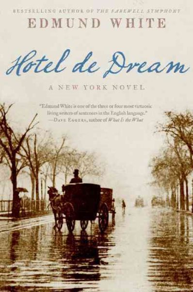 Hotel de Dream: A New York Novel cover