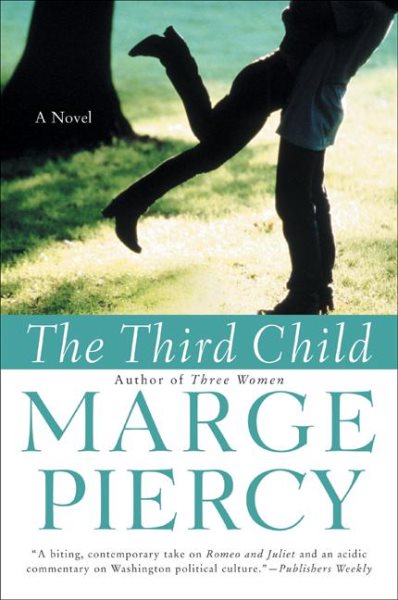 The Third Child: A Novel cover