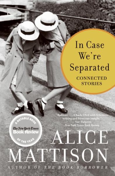 In Case We're Separated: Connected Stories cover