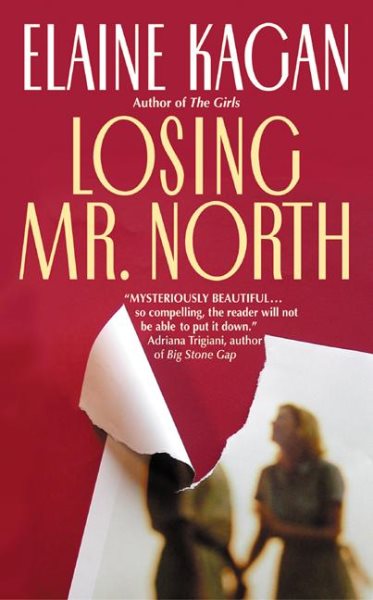 Losing Mr. North cover