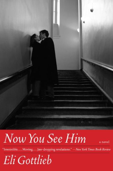 Now You See Him: A Novel (P.S.)