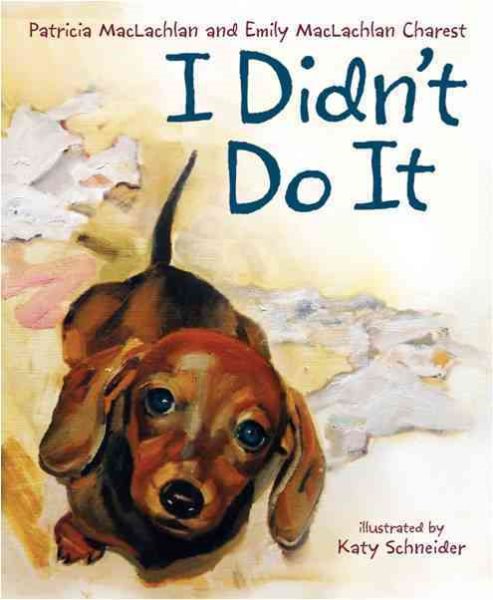 I Didn't Do It cover