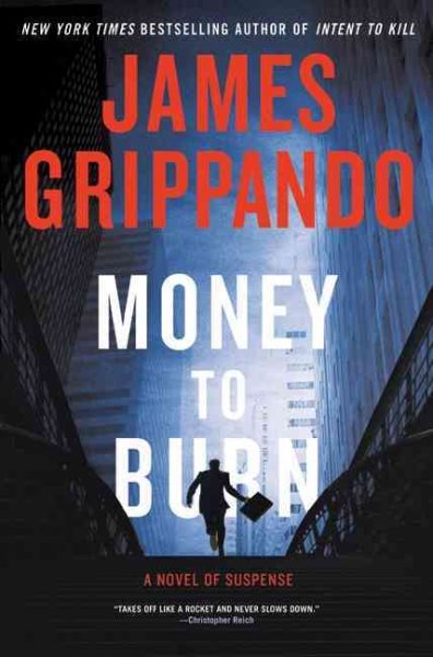 Money to Burn: A Novel of Suspense cover