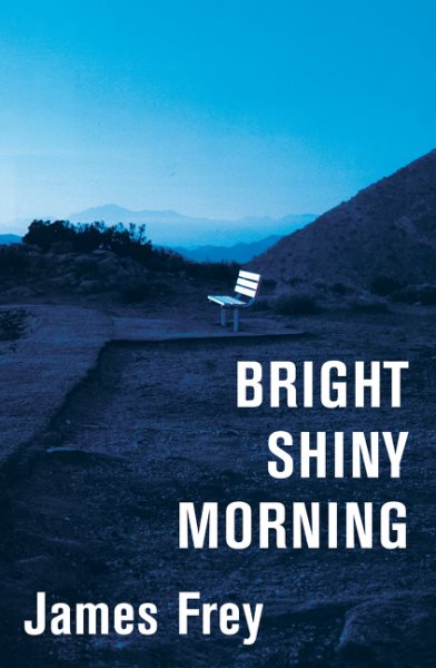 Bright Shiny Morning cover
