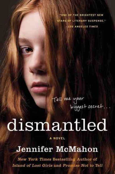 Dismantled: A Novel cover