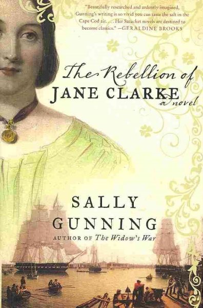 The Rebellion of Jane Clarke: A Novel cover