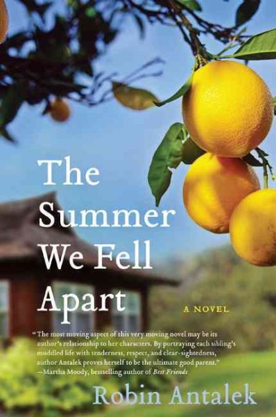 The Summer We Fell Apart: A Novel cover