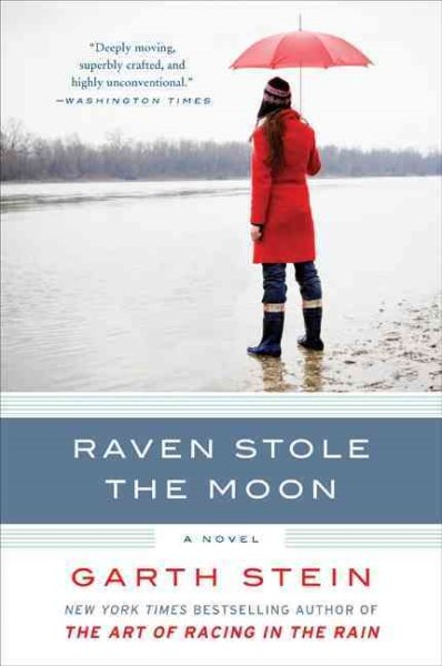 Raven Stole the Moon: A Novel cover