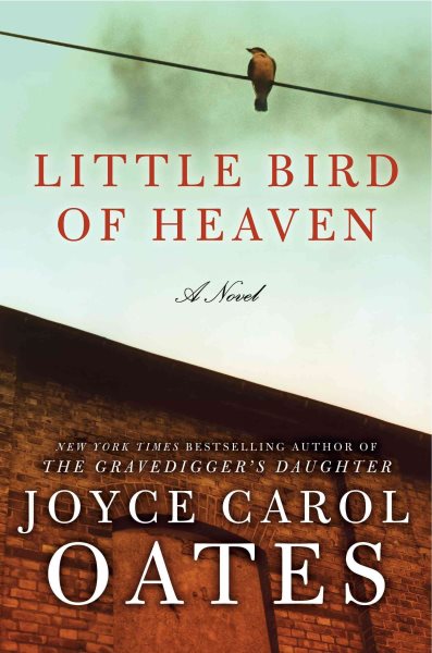 Little Bird of Heaven: A Novel cover