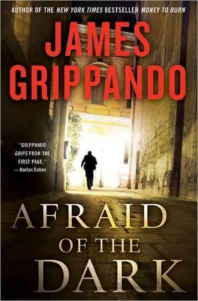 Afraid of the Dark (Jack Swyteck Novel) cover