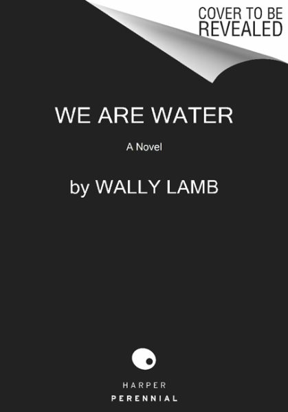 We Are Water: A Novel (P.S.) cover