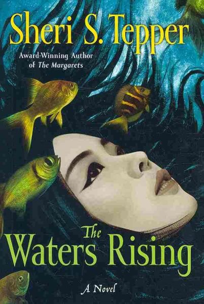 The Waters Rising: A Novel cover