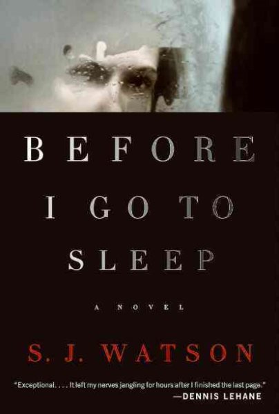 Before I Go to Sleep: A Novel cover