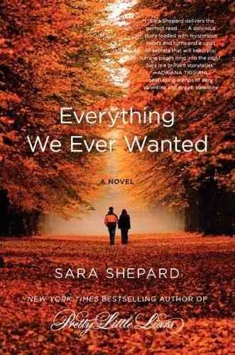 Everything We Ever Wanted: A Novel cover