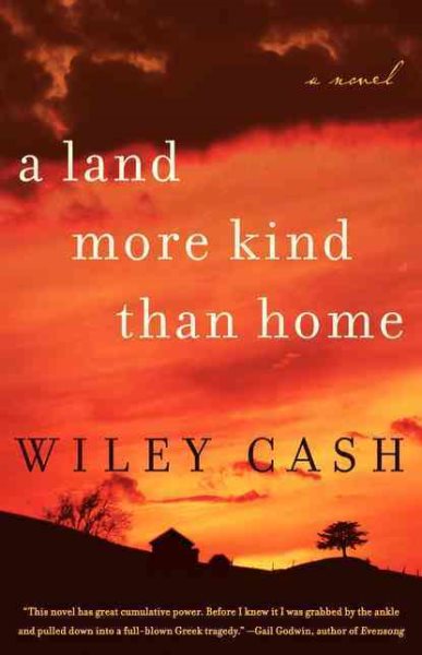 A Land More Kind Than Home: A Novel cover