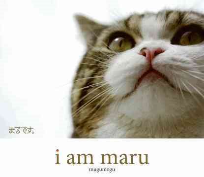 I Am Maru cover