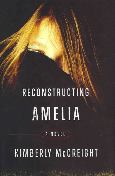 Reconstructing Amelia: A Novel cover
