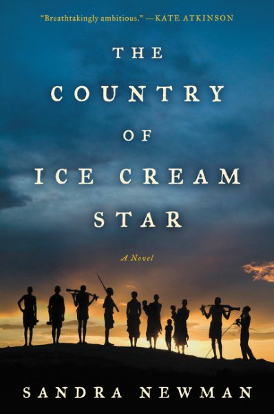 The Country of Ice Cream Star cover