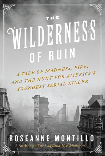 The Wilderness of Ruin: A Tale of Madness, Fire, and the Hunt for America's Youngest Serial Killer cover