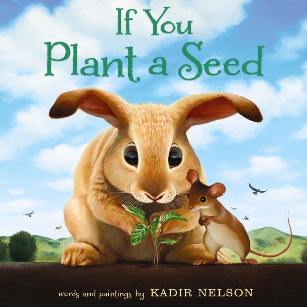 If You Plant a Seed cover