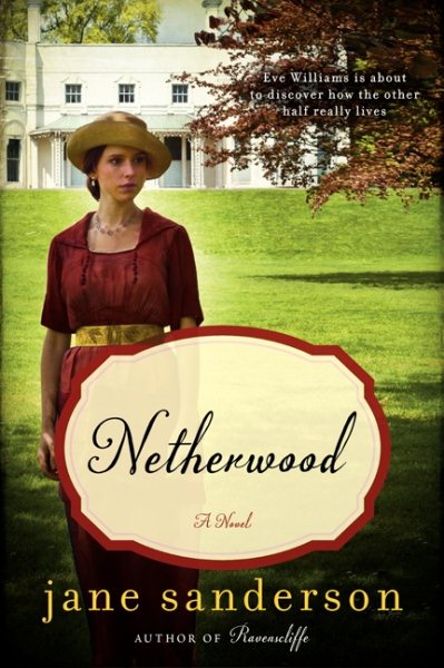 Netherwood: A Novel cover