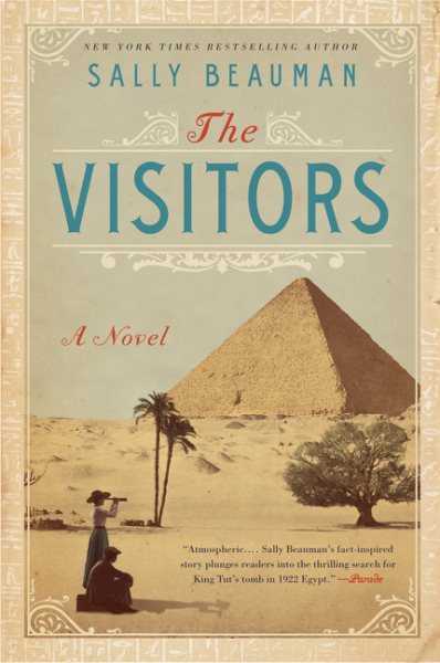 The Visitors: A Novel cover