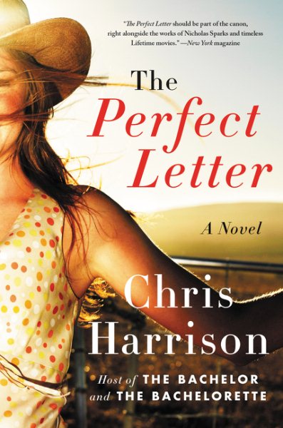 The Perfect Letter: A Novel cover