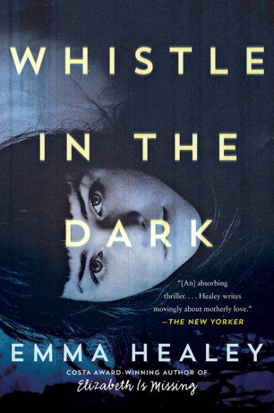 Whistle in the Dark: A Novel cover