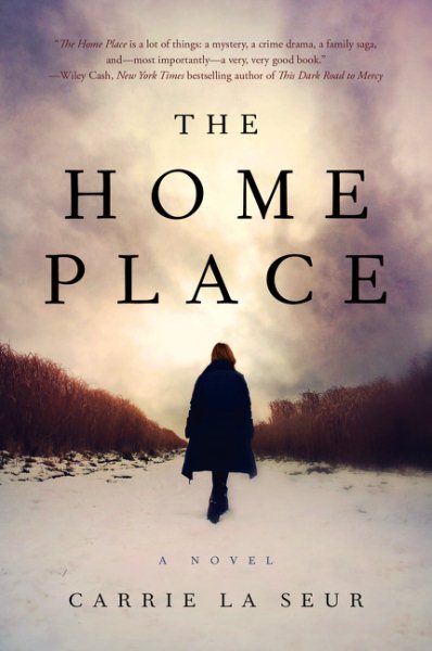 The Home Place: A Novel cover