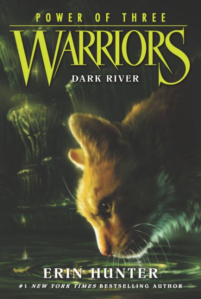 Warriors: Power of Three #2: Dark River cover