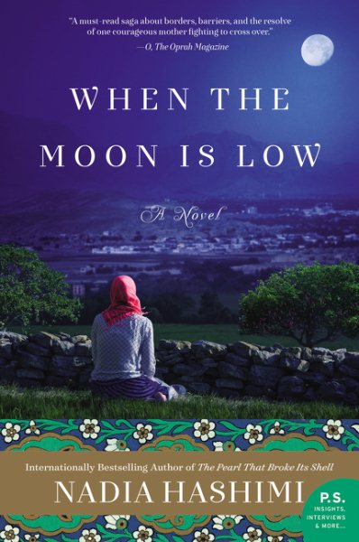 When the Moon Is Low: A Novel cover