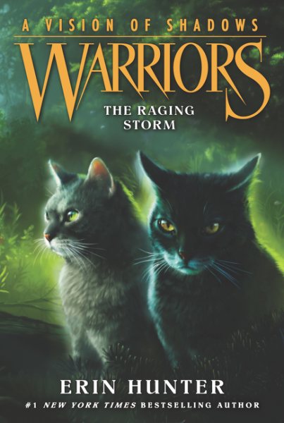 Warriors: A Vision of Shadows #6: The Raging Storm cover
