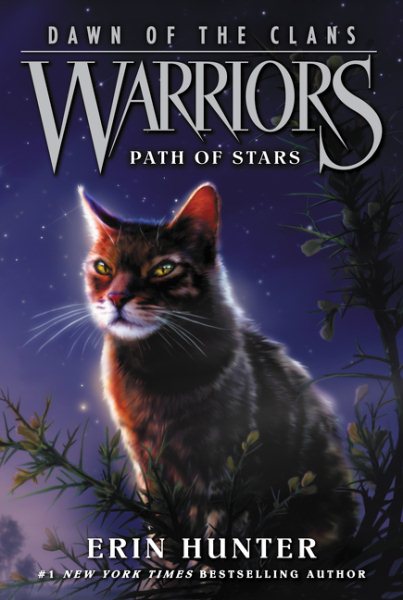 Warriors: Dawn of the Clans #6: Path of Stars cover