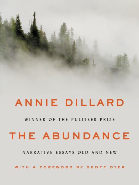 The Abundance: Narrative Essays Old and New cover
