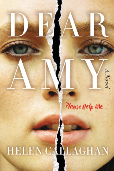 Dear Amy: A Novel cover