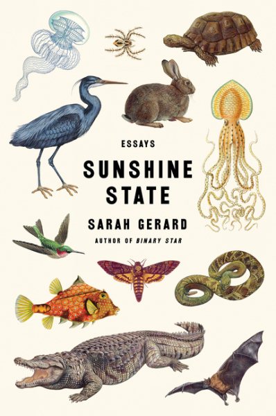 Sunshine State: Essays cover
