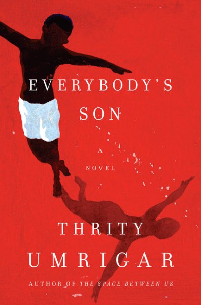 Everybody's Son: A Novel cover