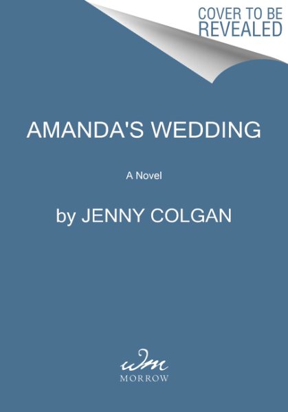 Amanda's Wedding: A Novel cover
