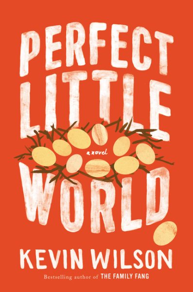 Perfect Little World: A Novel cover