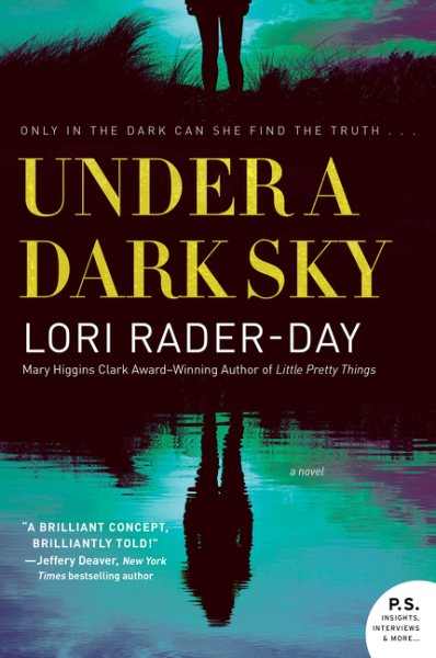 Under a Dark Sky: A Novel cover