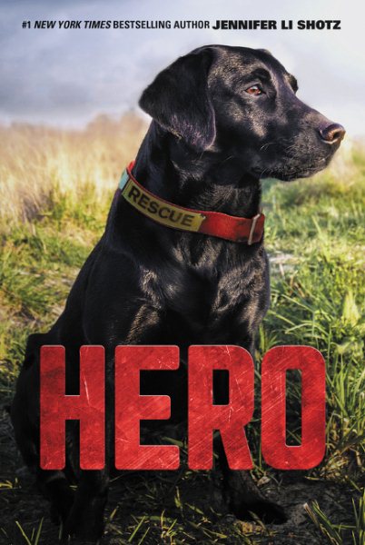 Hero (Hero, 1) cover