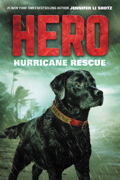 Hero: Hurricane Rescue cover